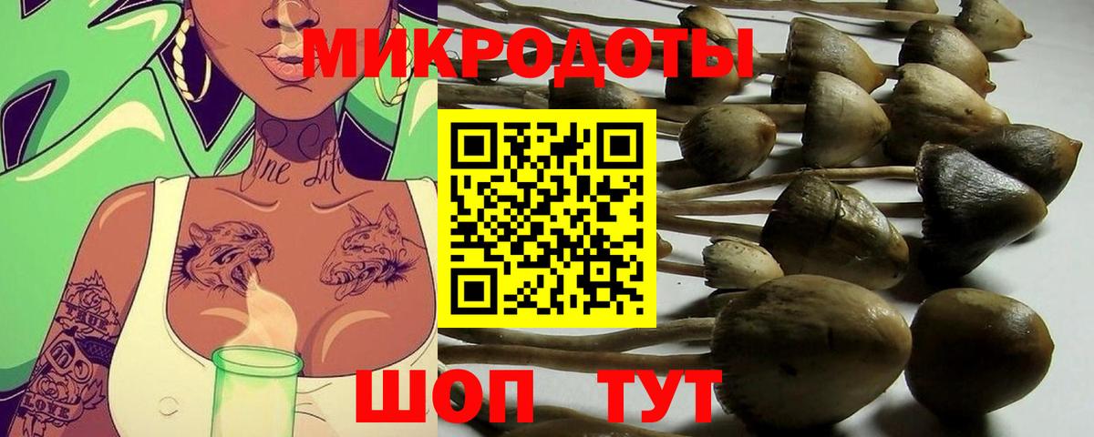 Псилоцибиновые грибы GOLDEN TEACHER  Вход с VPN  Протвино 